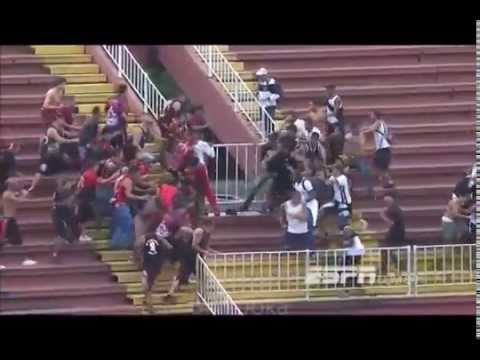 Three and a Half Rugby Games or Caught in the Crossfire